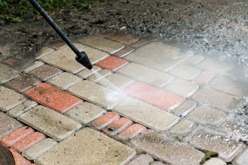 Brick Walkway Cleaning