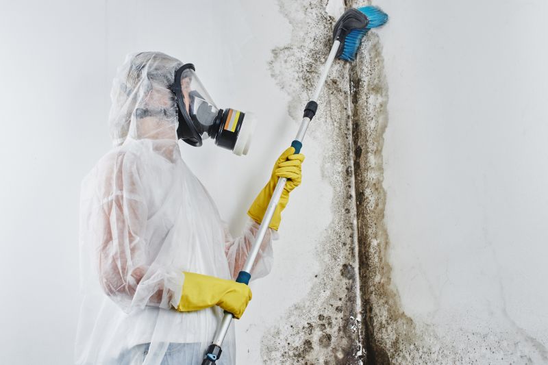 Mold and Mildew Removal