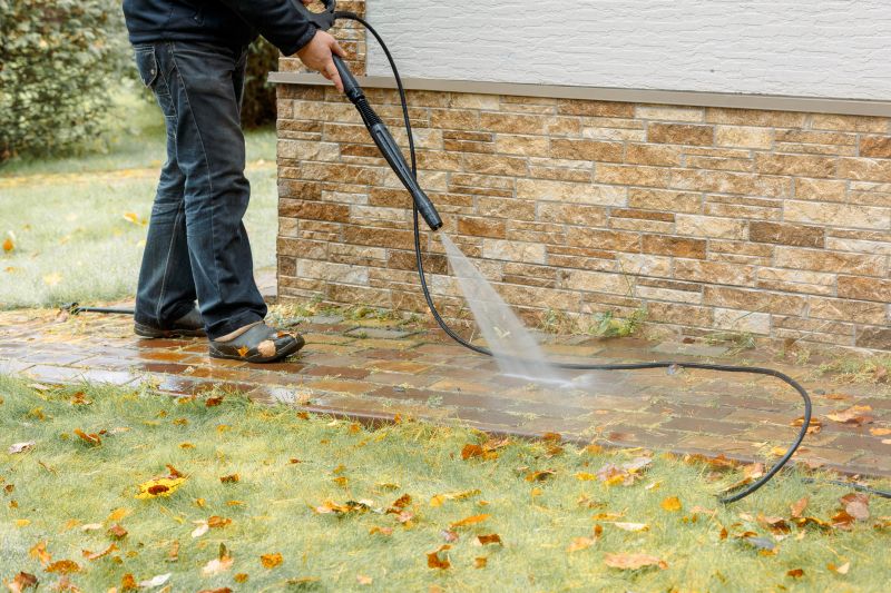 Brick and Stone Surface Cleaning
