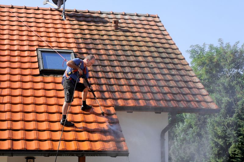 Roof Cleaning Specialists