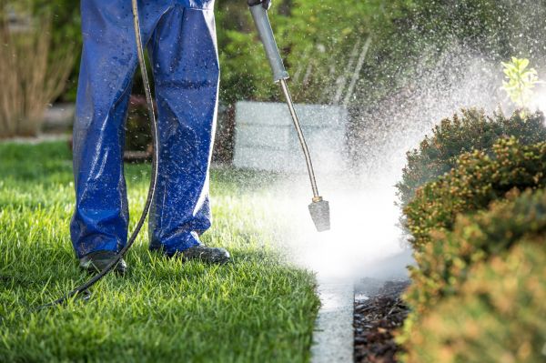 Cost of Curb Cleaning in Destin